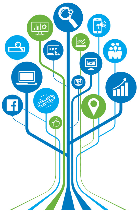 Best SEO Company in Ahmedabad